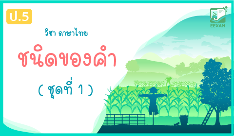 แนวข้อสอบภาษาไทย ป.5 เรื่อง ชนิดของคำในภาษาไทย ชุดที่ 1